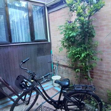 Сдам в аренду отдельный домик