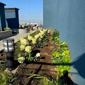 Двухкомнатная квартира ЖК Атмосфера, Аркадия ЖК Атмосфера