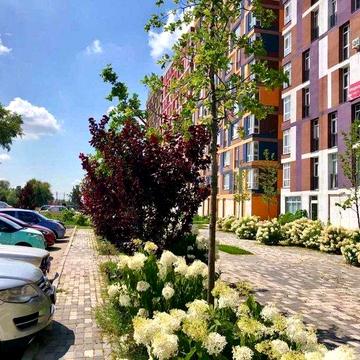 Без комісії Здам в оренду 3-кім кв