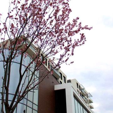 1-кімнатна квартира у GRAND HILLS | Бізнес-клас - GH 1.07 ЖК GRAND HILLS