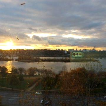 Березняки ( 2 кімн).Дніпровська Набережна 7