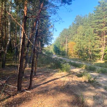 Козин, Обухівський, Київська область 500000.0 USD