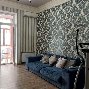 СВОБОДНО 2 Х Ком кв Ул Жуковского 14 Центр Парк Шевченка Балкон Газ