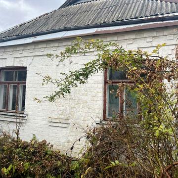 Продається будинок в с. Гудзівка