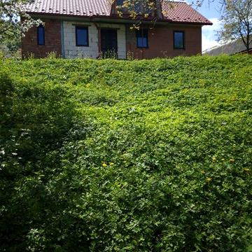 Продється будинок з великою земельною ділянкою від власника