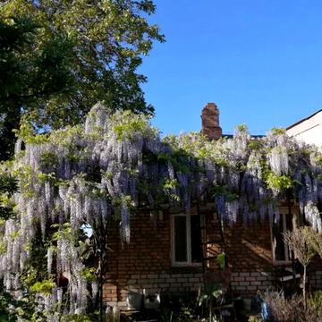 Петропавлівська вул. (Енгельса)