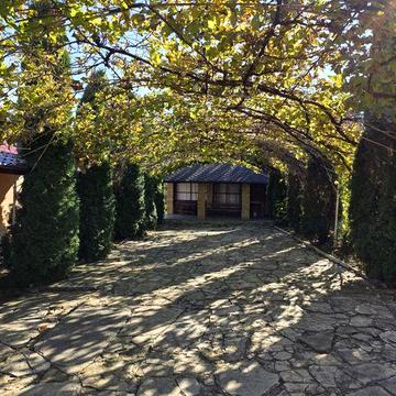 Продається гарний маєток біля Дністра