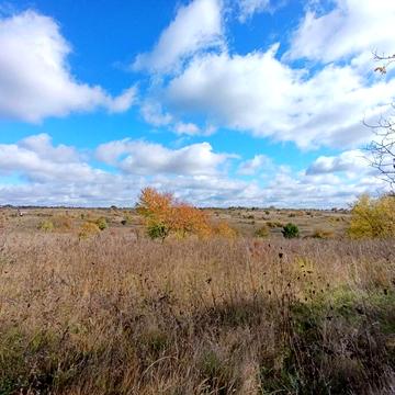 Василя Зеньковського вул.