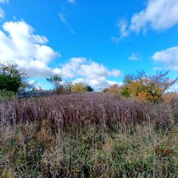 Василя Зеньковського вул.