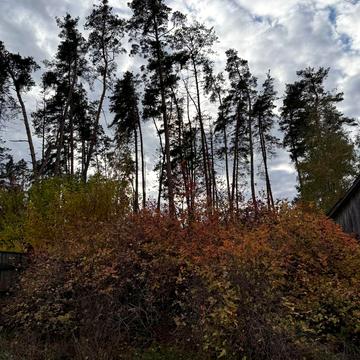 Мошни, Черкаський, Черкаська область 4000.0 USD