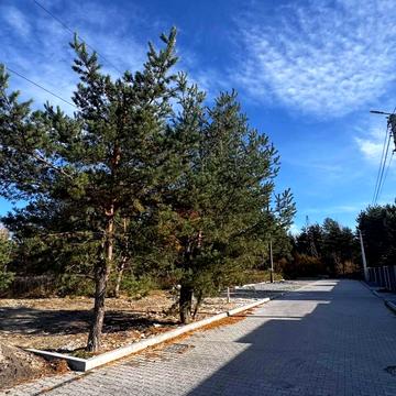 Рясне-Руське, Львівський, Львівська область 165000.0 USD