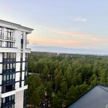 Центральний парк. Ніхто не жив. Новий ремонт