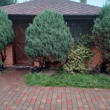 Продам будинок с.Литвинівка Київська область ХОЗЯЙКА