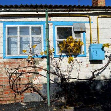 Продається будинок, пів будинку, продается дом, Томаківка, Томаковка