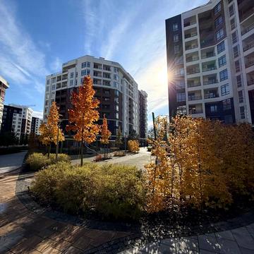 Ольги Кобилянської вул. (Достоєвського), 1-В/8