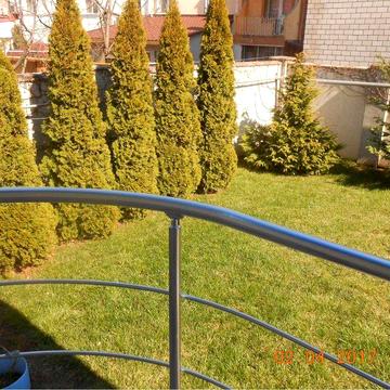 Продажа хозяйского дома в Совиньоне-1