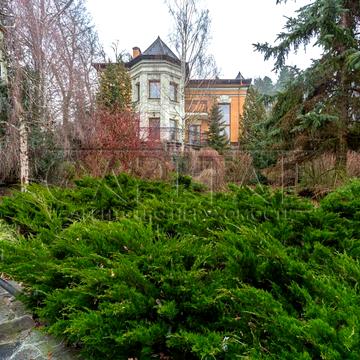 Садова вул.