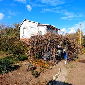 Затишна дача неподалік від лісу