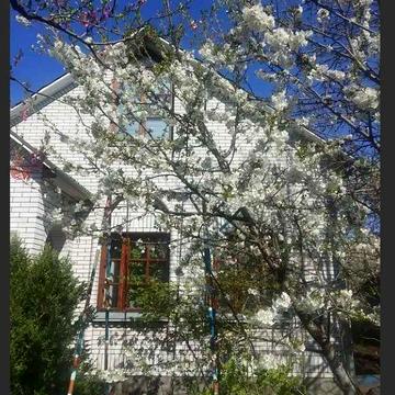 Оренда двоповерхового   будинку з сауною, Ближнє Замостя.