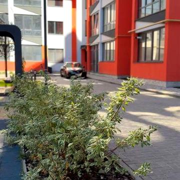 1к квартира в центрі міста, ЖК Дрім Парк, терміново, без комісії ЖК Dream Park