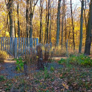 Масив Поляна