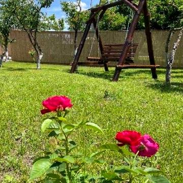 Сдам красивый дом 2 к+ кухня студия Фонтанка!Собачку можно!