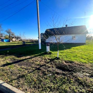 Відродження, 1