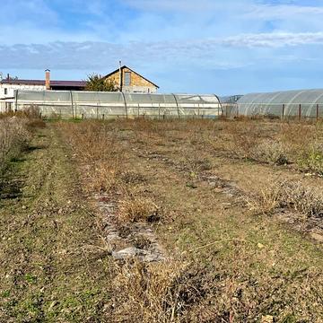 Овідіополь, Одеський, Одеська область 10000.0 USD