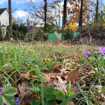 Європейська вул. (Радянська)