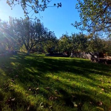 Дача з сауною, каміном, та басейном!