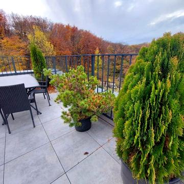 Петра Лодія вул., 6