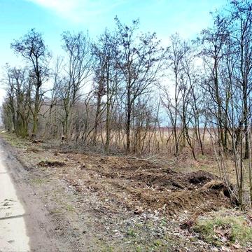 СК Алмазний