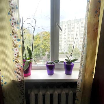 Жабинського вул., 3