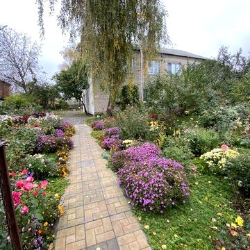 Трикімнатна квартира у центрі с.Росоша (Липовець)