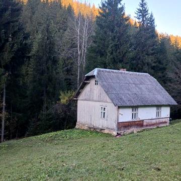 Будинок здаю в оренду , яблуниця