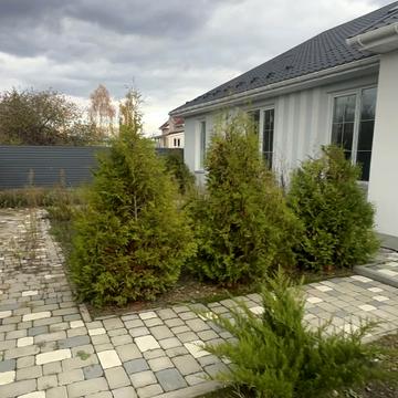 Броварська