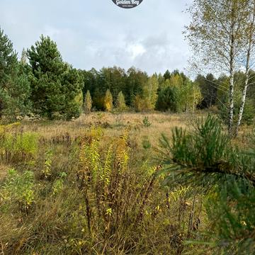 Рови, Вишгородський, Київська область 35000.0 USD