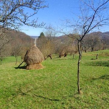 Продається хата з земельною ділянкою