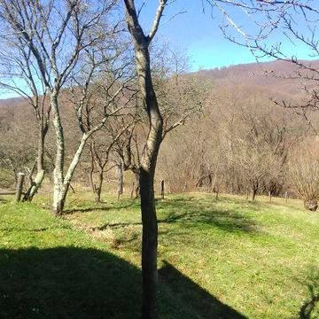 Продається хата з земельною ділянкою