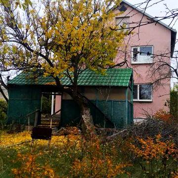 Дві дачні діоянки с. Чкаловка