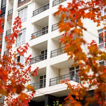 1-кімнатна квартира під програму “єОселя”!