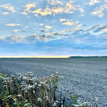 Велика Димерка, Броварський, Київська область 150000.0 USD