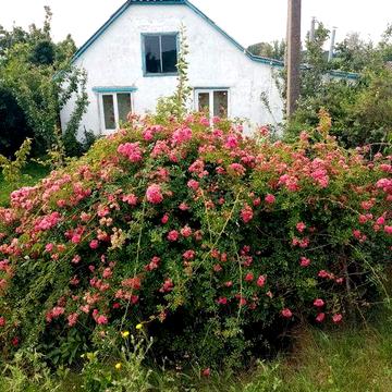 Будинок за доступною ціною