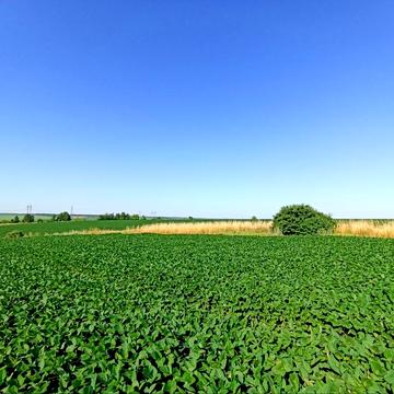 Вінницька обїзна М30