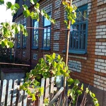 Продам дом в силе Высокое