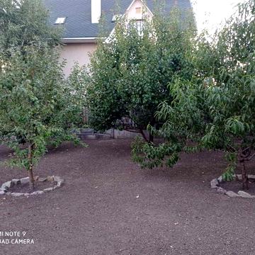 Сдам дом на Мирном