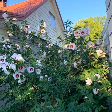 Продам будинок у м Дніпро  Собственник