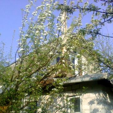 Продам дачу Дача на продаж в Чубінському ( ст Агро ) в 15 км від метро