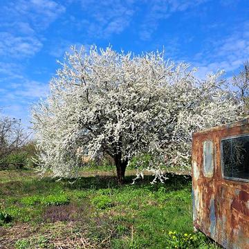 Продаж 3к Дім Першотравнева