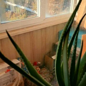 Продаж 1к Квартира Богданова вулиця